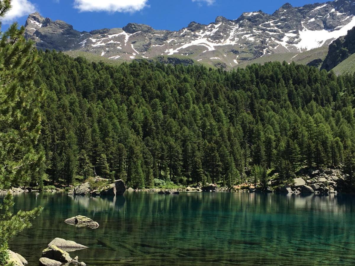 Chasa Sassalbo Bed & Breakfast Poschiavo Bagian luar foto