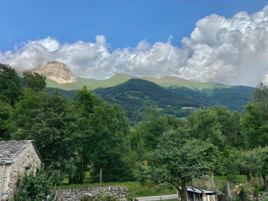 Chasa Sassalbo Bed & Breakfast Poschiavo Bagian luar foto